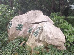 -静安公园(静安寺街道)