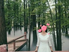 -东湖落雁景区