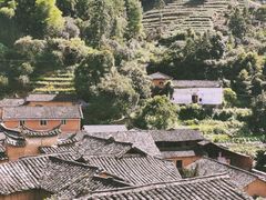-杨家堂村