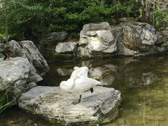 -北京动物园