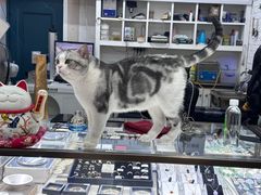 -百金通黄金回收首饰定制维修(珠江路总部)