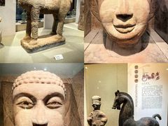 -乐山市博物馆