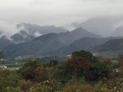 -塔川景区