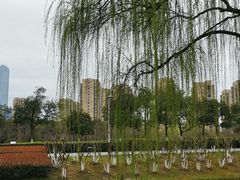 -白塘生态植物园