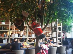 -博林天瑞喜来登酒店·西丽尚膳