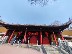 -灵谷景区
