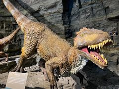 -辽宁古生物博物馆