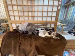 -小时光咖啡馆(开森度假森林店)
