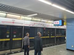 -大龙山(地铁站)