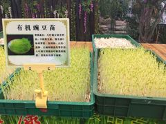 -森谷美食公园(杨行店)