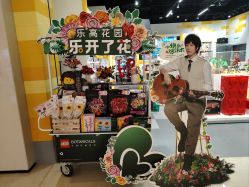 -乐高授权专卖店(华采天地店)