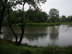 -西溪国家湿地公园