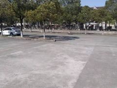 -安飞驰驾校·学车连锁(金高店)