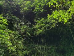 -海口火山口国家地质公园