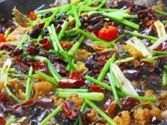 -老板恋上鱼(荣盛广场店)