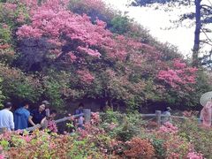-木兰云雾山