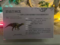 -甘肃地质博物馆