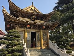 -上海东林寺(金山区)
