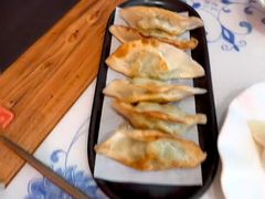 -东方饺子王(新阳路店)
