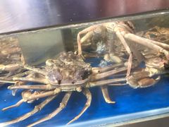 -盒马鲜生(莱蒙都会店)