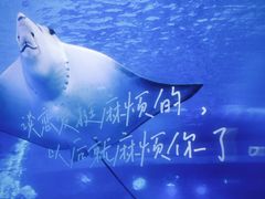 -正佳极地海洋世界