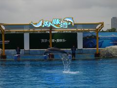 -三亚海昌梦幻海洋不夜城