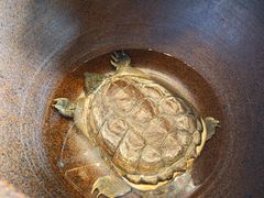 -湘味·鱼头王(上夼美食街店)