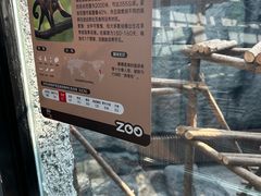 -武汉动物园