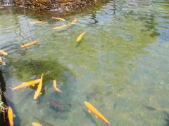 -丽江玉水寨