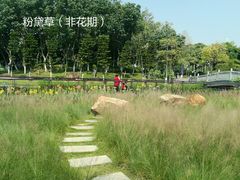 -映月湖公园