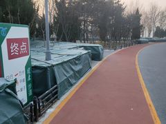 -大兴滨河森林公园