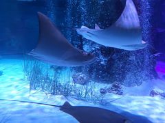 -沈阳海洋探索中心