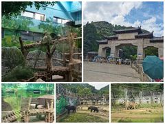 -黔灵山公园