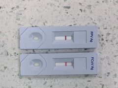 -宠颐生宠物医院·心肾内科·猫专科诊疗中心宠巢店