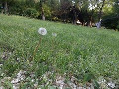 -辽宁大学(崇山校区)