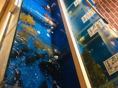 -姜君·千岛湖鱼头馆(浦东大道店)