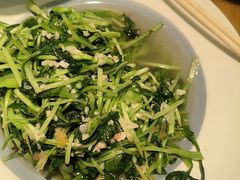 -鸽子窝(宋庄店)