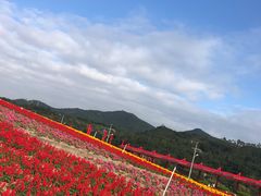 -东部华侨城