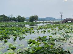 -云龙湖旅游景区