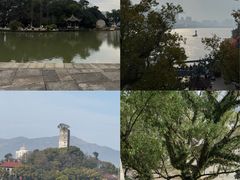 -江心屿景区