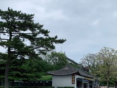 -刘公岛景区
