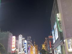 -BUS TOUR观光巴士