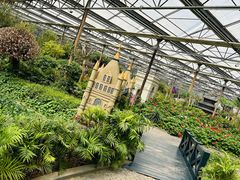 -南宫五洲植物乐园