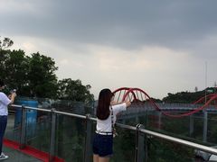 -东部华侨城