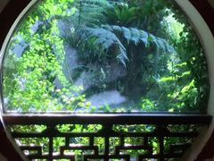 -深圳仙湖植物园