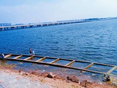 -丁香湖公园