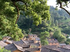 -杨家堂村