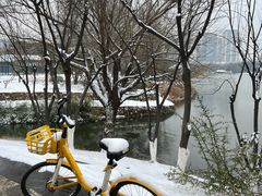 -月湖风景区