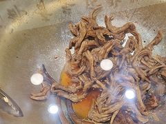 -王氏现捞(宽窄巷子2.0直营店)