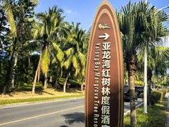 -亚龙湾红树林度假酒店御粤阁